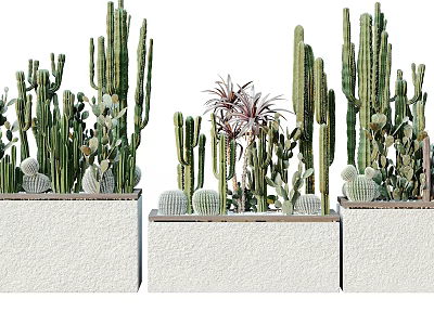 Potted Cactus and Succulent Plants in White Planters Featuring Tall and Small Varieties 3d model