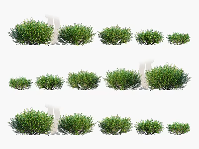 Leafy Green Shrubs in Various Sizes for Garden Landscaping Projects 3d model