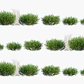 Leafy Green Shrubs in Various Sizes for Garden Landscaping Projects 3d model