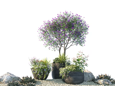 Beautiful Bonsai Potted Plants With Purple Flowering Tree Surrounded By Stones And Gravel 3d model