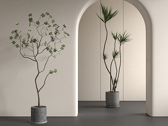 Green Plant Potted Plant Potted Plant Potted Plant Combination Landscape Green Plant 3d model