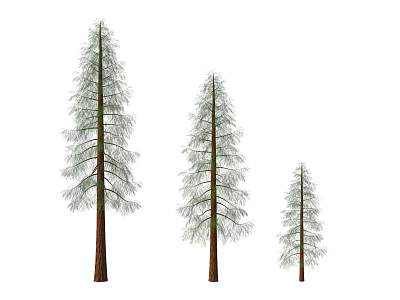 Three Different Sizes Arbor Trees With Brown Trunks And Green Leaves On White Background 3d model