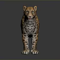 3D Rendered Leopard Standing With Yellow Black Spotted Fur And Reflection On Gray Background