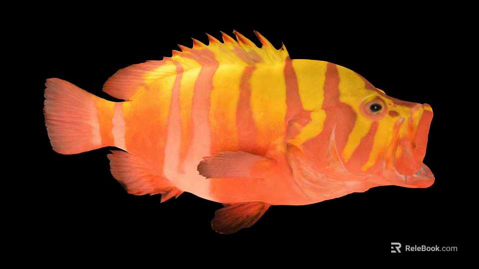 Vibrant Striped Marine Fish With Distinctive Orange And Yellow Color Patterns 3d model 