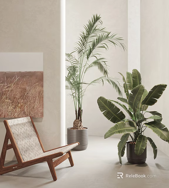 Elegant Indoor Large Potted Plants With Palm And Banana Leaves For Decoration 3d model 