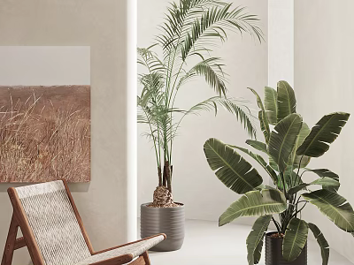 Elegant Indoor Large Potted Plants With Palm And Banana Leaves For Decoration 3d model