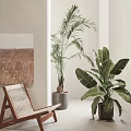 Elegant Indoor Large Potted Plants With Palm And Banana Leaves For Decoration