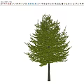 Modern Arbor Street Tree Courtyard Tree Landscape Tree Ginkgo Tree Forest Trees 3d model
