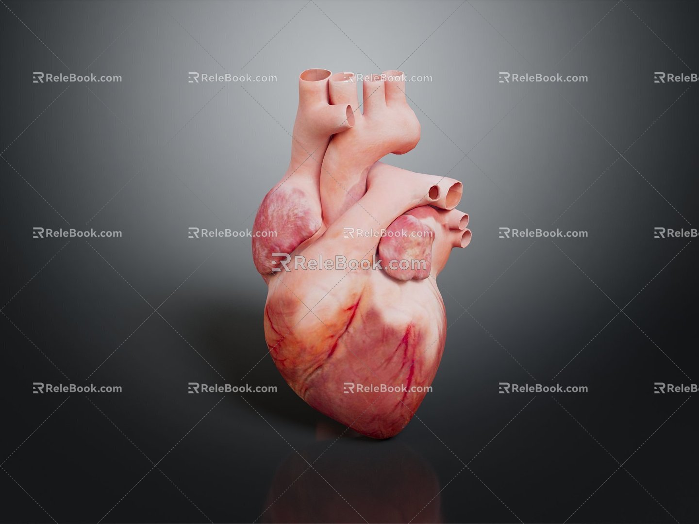 Modern Heart Human Heart Heart Anatomy 3d model