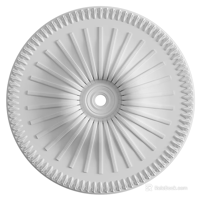 White Circular Ceiling Rosette With Radiating Lines And Ornate Border 3d model 