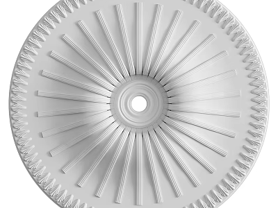White Circular Ceiling Rosette With Radiating Lines And Ornate Border 3d model