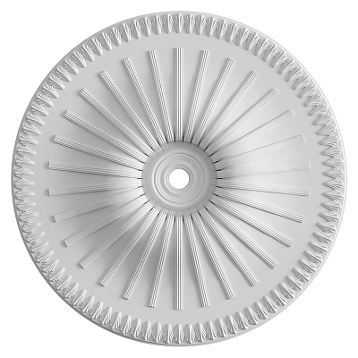 White Circular Ceiling Rosette With Radiating Lines And Ornate Border 3d model