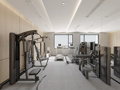 Modern Fitness Gym Interior With Various Equipment And Bright Space 3d model
