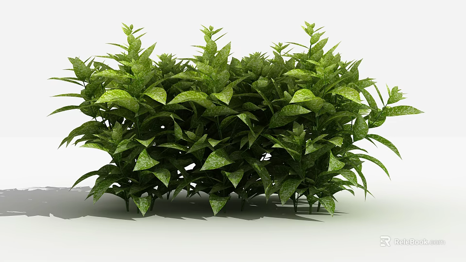 Vibrant Green Shrub With Lush Dense Foliage For Outdoor Garden Landscaping 3d model 