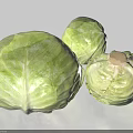 Three Fresh Green Cabbage on White Background Raw Vegetables for Cooking