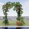 Green Vines Covered Garden Arbor with Purple Grapes Fruit Basket Near Stone Wall and Grass