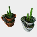 Decorative Bonsai Potted Plants in Broken Ceramic Pot with Succulents Cactus and Greenery