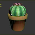 Decorative Green Cactus with Pink Flower and White Spines in Orange Ceramic Pot