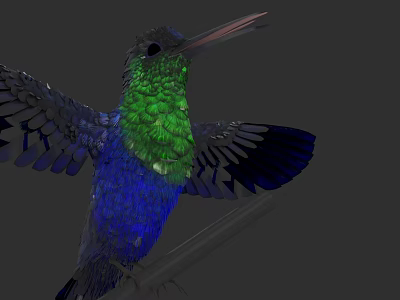 Vibrant Green and Blue Hummingbird with Spread Wings Perched on Tree Branch 3d model