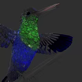 Vibrant Green and Blue Hummingbird with Spread Wings Perched on Tree Branch