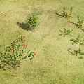 Green Grassland With Various Flowers Red Flowering Shrubs Purple Blossom Plants And Slender Leaf Herbs