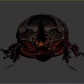 Horned Shiny Dark Purple Beetle With Red Accents On Gray Background
