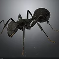Detailed Metallic Ant Sculpture With Realistic Legs And Shiny Body Structure