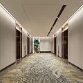 Modern Elevator Hallway With Flowing Pattern Carpet Soft Lighting And Decorative Wall Panels 3d model