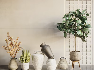 Various Decorative Potted Plants with Ceramic and Woven Vases on Light Grid Wall Background 3d model