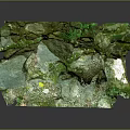 Natural Terrain with Green Moss Covered Rock Surface and Small Yellow Spots and Natural Indentations