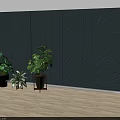 Indoor Potted Plants with Different Pots Stands Light Blue Wall Light Floor and Window Light