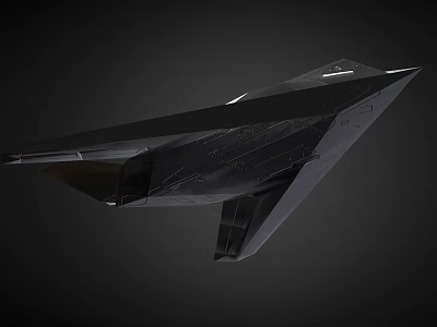 Black Stealth Fighter With Aerodynamic Design 3d model