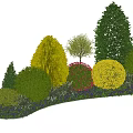 Ground Cover Plants With Green Shrubs Yellow Rounded Bushes And Purple Flowering Plants