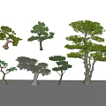 Various Arbor Trees With Different Shapes Sizes And Green Foliage 3d model