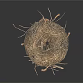 Handmade Natural Decorative Household Nest Crafted From Twigs And Dry Grass