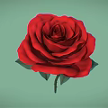 Vibrant Red Rose Flower With Fresh Green Leaves On Light Green Background