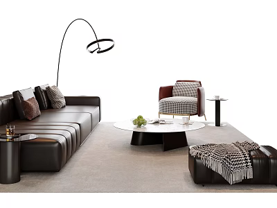 Modern Leather Sofa and Coffee Table Set with Pillows Floor Lamp Armchair and Rug 3d model
