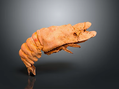 Cooked Orange Lobster With Curved Body And Open Claws Isolated On Gray Background 3d model