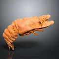 Cooked Orange Lobster With Curved Body And Open Claws Isolated On Gray Background