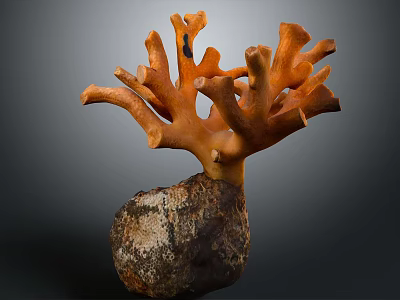 Orange Coral Like Decorative Sculpture With Natural Stone Base And Textured Details 3d model