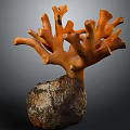 Orange Coral Like Decorative Sculpture With Natural Stone Base And Textured Details
