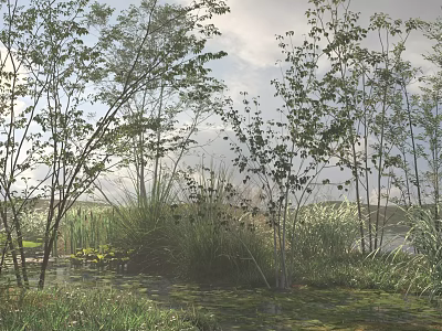Lush Flowers and Plants in Natural Green Meadow With Trees and Sunlight 3d model