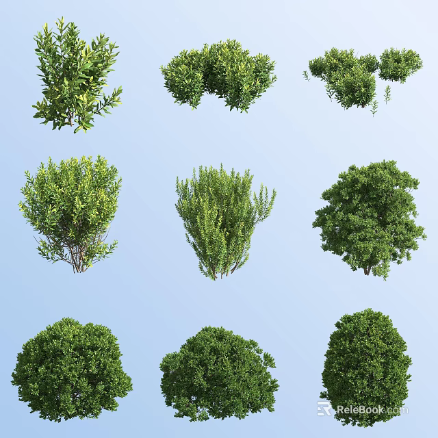 Various Aquatic Plants With Green Foliage And Vibrant Leaf Structures 3d model 