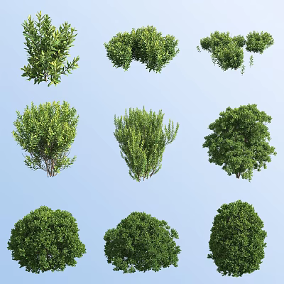Various Aquatic Plants With Green Foliage And Vibrant Leaf Structures 3d model