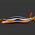 Vibrant Nudibranch Aquatic Animal With Yellow Edged Blue And White Striped Body And Red Tentacles