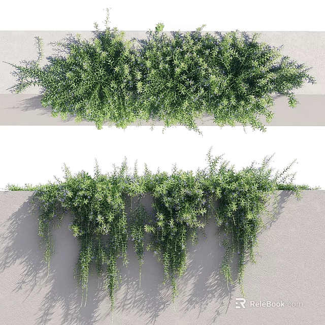 Green Hanging Plants Garden Decor With Wall Covering And Lush Foliage 3d model 