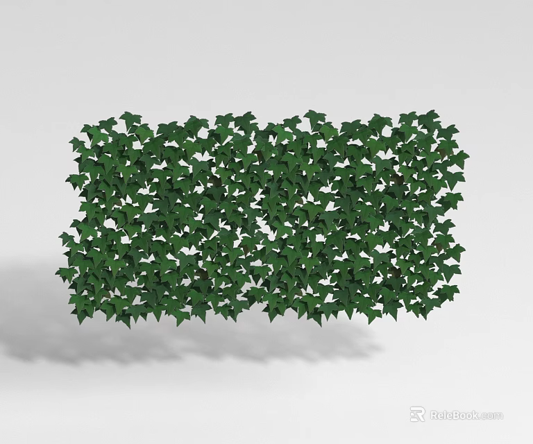 Lush Green Ivy Vines Forming Decorative Plant Screen With Dense Leaves 3d model 