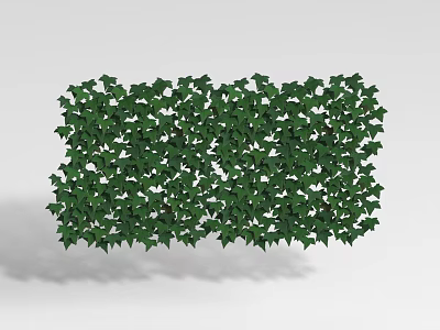 Lush Green Ivy Vines Forming Decorative Plant Screen With Dense Leaves 3d model