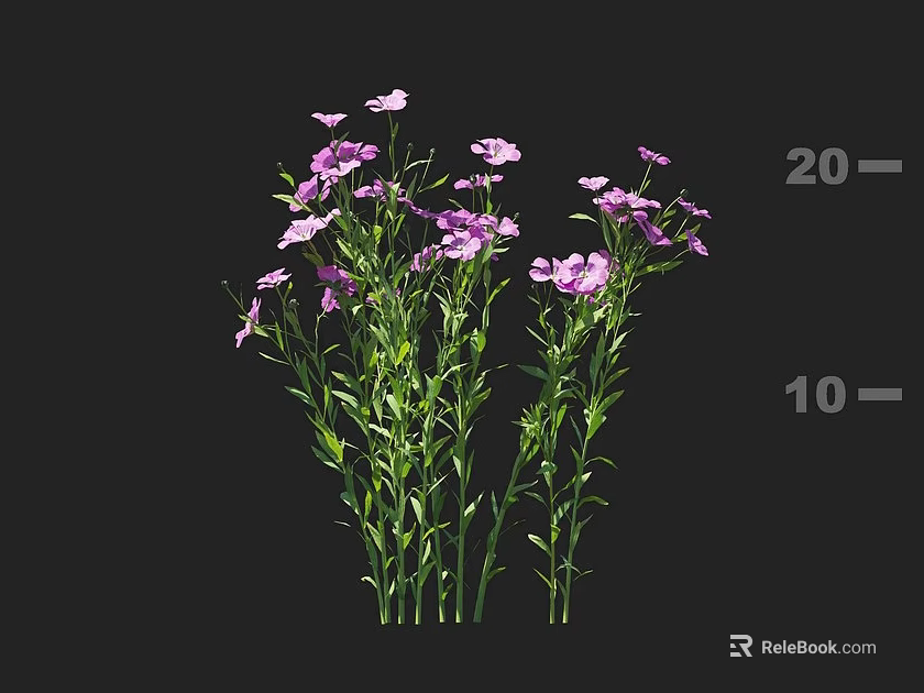 Delicate Purple and Pink Flowers with Green Stems and Leaves on Black Background 3d model 