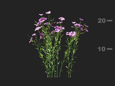 Delicate Purple and Pink Flowers with Green Stems and Leaves on Black Background 3d model